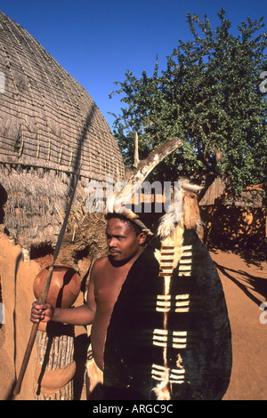 Guerrier Zoulou Native avec armure tribu à Shakaland Center Afrique du Sud Banque D'Images