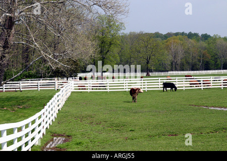 Une longue ligne de Farm and Ranch l'escrime. Banque D'Images