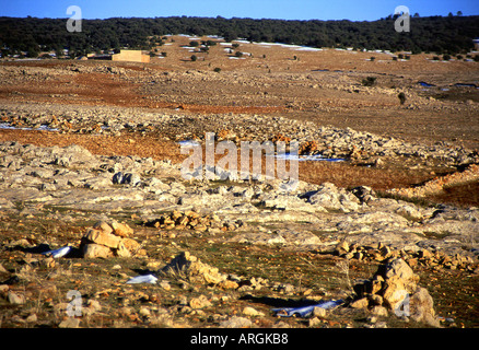 Meknès-Tafilalet Ifrane Moyen Atlas Maroc Maghreb Arabe marocain arabe berbère du Maghreb en Afrique du Nord Banque D'Images