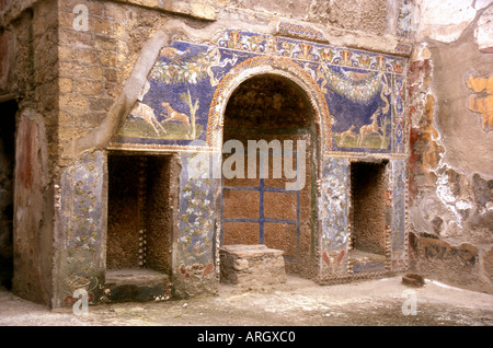 Vue caractéristique de ruines d'Herculanum Herculanum Naples Napoli Campania Italie péninsule Italienne Italia Europe Banque D'Images