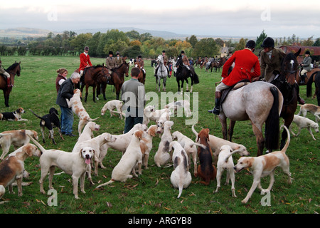 Tôt le matin dans la réunion de recherche de Cotswolds Gloucestershire angleterre Europe campagne. Chasse au Renard. Banque D'Images