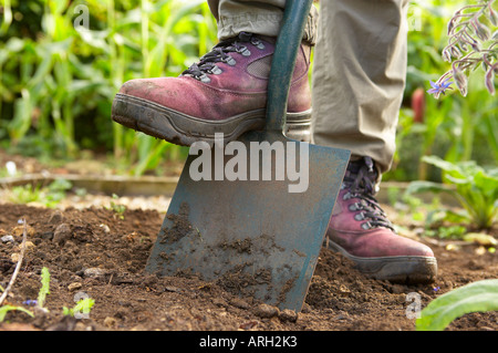 Une femme de creuser avec un chat dans un jardin de Dorset England UK MR Banque D'Images