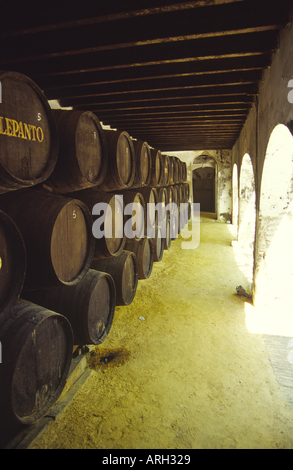 Dans des fûts de sherry Bodega Gonzalez Byass Banque D'Images