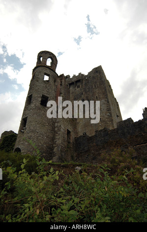 Une vue générale du château de Blarney Blarney, représenté à la proximité de la ville de Cork en Irlande. Banque D'Images