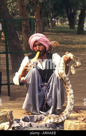 Charmeur de serpent à Delhi Inde Banque D'Images