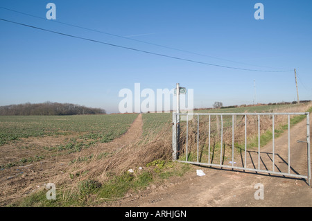 Sentier public des terres agricoles Banque D'Images