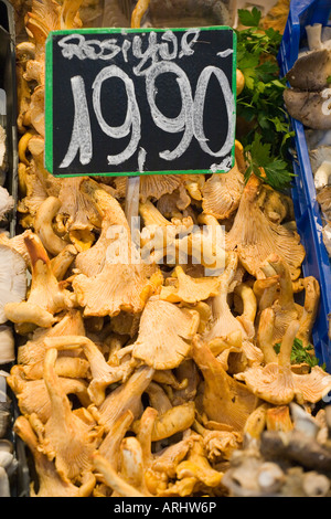 Chanterelles jaunes (Cantharellus cibarius) dans le marché de la boqueria Banque D'Images