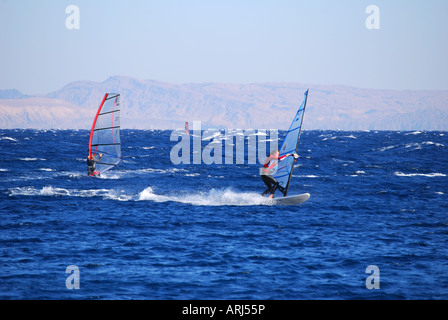 Les véliplanchistes en mer agitée, Dahab, péninsule du Sinaï, Égypte Banque D'Images