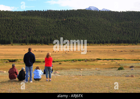 Regarder des wapitis dans Parc Moraine, Rocky Mountain National Park, Estes Park, Colorado, USA Banque D'Images