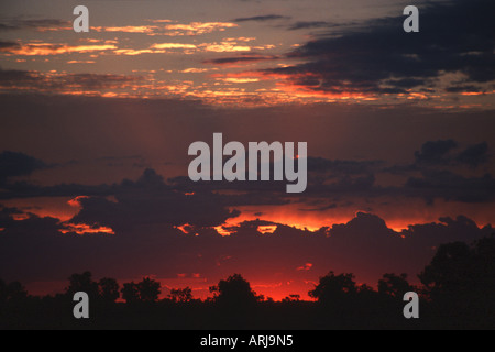 Lever du soleil dans le désert de Tanami, Australie Banque D'Images