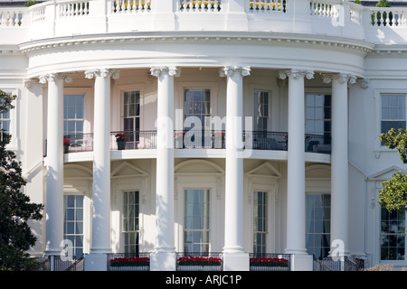 Le balcon Truman avec des tulipes. De près de l'arrière de la Maison Blanche. Voir à partir de l'Ellipse à Washington DC. Banque D'Images