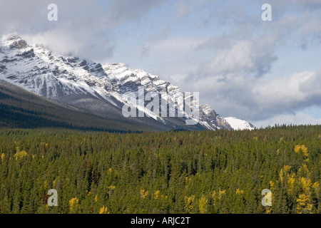 Hautes Montagnes rocheuses couvertes de neige de l'hiver en Alberta Canada tandis que sur un voyage de vacances Maison de vacances Banque D'Images