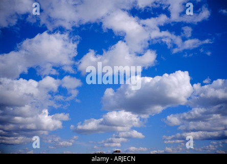 Ciel bleu et nuages blancs gonflés Banque D'Images
