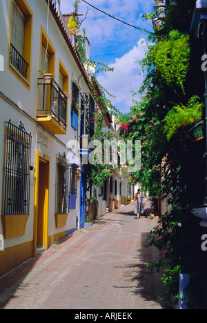 Rue de la vieille ville typique, Marbella, Costa del Sol, Andalousie, Espagne Banque D'Images