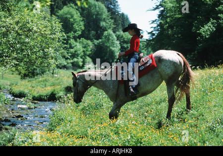 Appaloosa (Equus przewalskii f. caballus), western riding, cavalière Banque D'Images