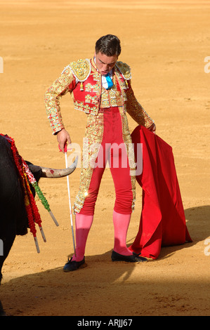 Bull fighter avec Bull sur la Plaza de Toros de Sevilla Banque D'Images