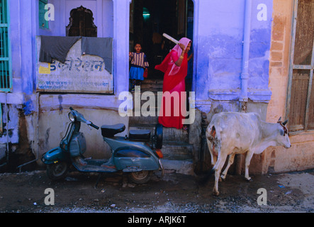 La ville bleue de Jodhpur, Rajasthan, Inde, Banque D'Images