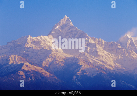 Pic Machhapuchhare (queue de poisson) du village de Sarangkot, Himalaya, Népal Banque D'Images