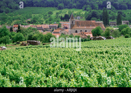 Vignobles des Côtes de Toul, village de Lucey, Meurthe-et-Moselle, Lorraine, France, Europe Banque D'Images