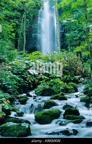 Vallée Oirase cascade, nourris par le lac Towada-ko, d'Aomori, au nord du Japon Banque D'Images