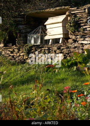 Dans les ruches anciennes jardin jardin Banque D'Images