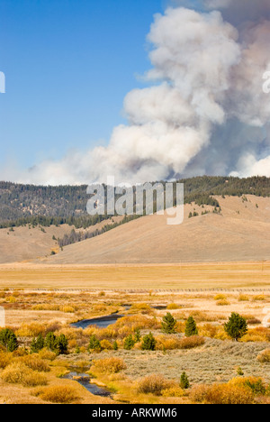 Virginia Stanley un feu brûle derrière contreforts près de droits photo à l'automne dans la zone de Sawtooth National Recreation Banque D'Images