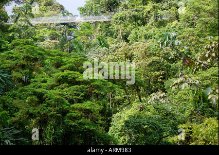 Ponts suspendus d'Arenal Costa rica Arenal Trail Banque D'Images