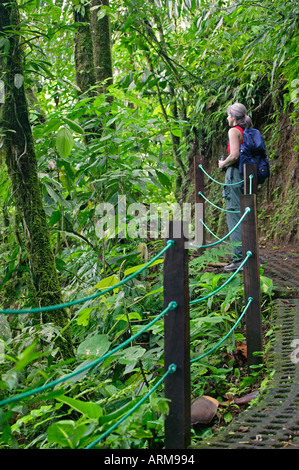 Un visiteur sur la piste de ponts suspendus d'Arenal Arenal Costa Rica Banque D'Images