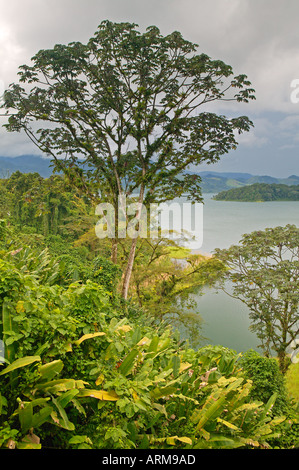 Le Lac Arenal Costa Rica Banque D'Images