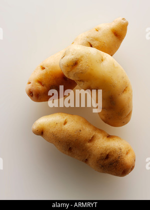 Pommes de terre de Anya Banque D'Images