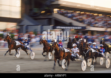 Les courses de trotteurs à Solvalla voie près de Stockholm, Suède en lumière au coucher du soleil Banque D'Images