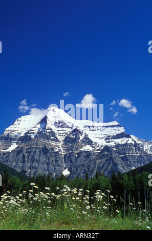 Le mont Robson, 3954 M, plus haut sommet des Rocheuses canadiennes, de la Colombie-Britannique, Canada. Banque D'Images