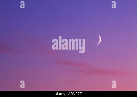 Ciel du soir dans la région de magenta avec croissant de lune - contexte, au Canada. Banque D'Images