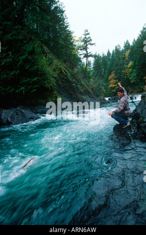 Jeune homme bobines dans un chinook dans la rivière Cowichan, île de Vancouver, Colombie-Britannique, Canada. Banque D'Images