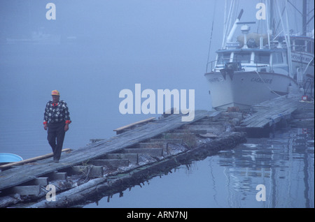 Kyuquot, pêcheur commercial promenades dans le brouillard de troll des bateaux, l'île de Vancouver, Colombie-Britannique, Canada Banque D'Images