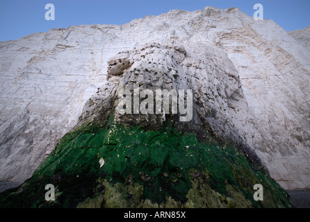 Marée haute à la base de la falaise des sept Sœurs-face dans le Kent. Banque D'Images