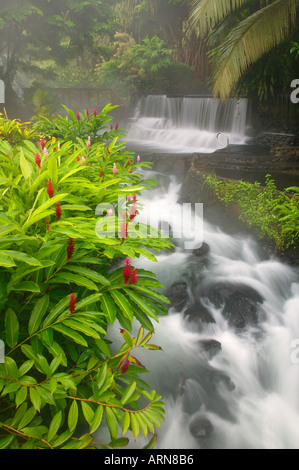 Ruisseau coule à travers Tabacon Hot Spring Resort et Spa Costa Rica Banque D'Images