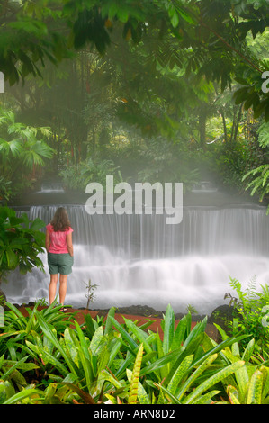 Un visiteur aime regarder un ruisseau qui coule à travers Tabacon Hot Spring Resort et Spa Costa Rica Banque D'Images