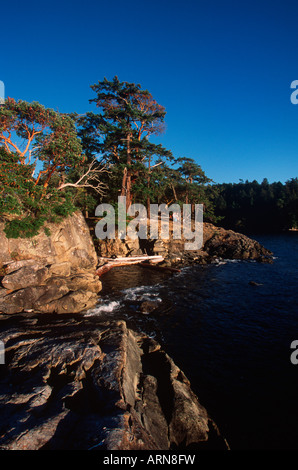 Roesland, Pender Island, Gulf Islands National Park, British Columbia, Canada. Banque D'Images