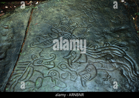 Petroglyph Park grès, Nanaimo, île de Vancouver, Colombie-Britannique, Canada. Banque D'Images