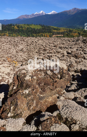 Le gouvernement Nisga'a Memorial Lava Bed Provincial Park, de lichens incrustés, rock, British Columbia, Canada. Banque D'Images