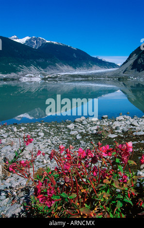 Chaîne côtière, de fonte des glaciers Klinaklini, British Columbia, Canada. Banque D'Images