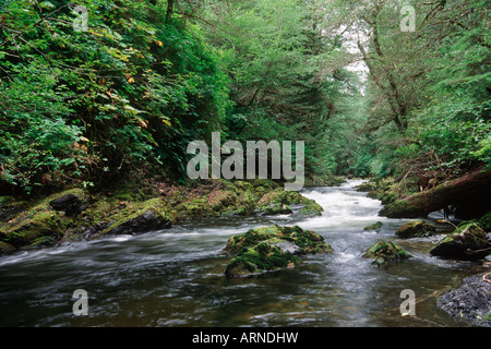 Queen Charlotte Islands - Hadia Gwaii - Braverman River, Colombie-Britannique, Canada. Banque D'Images