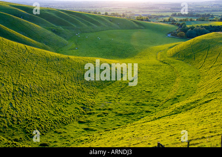 La crèche près de White Horse Hill à Uffington Oxfordshire England JMH1772 Banque D'Images