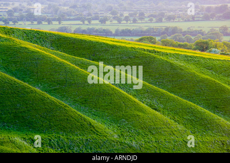 La crèche de White Horse Hill à Uffington Oxfordshire England JMH1775 Banque D'Images