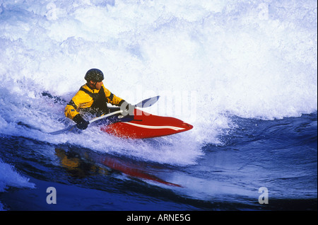 Les Sechelt près d'Egmont, whitewater kayaker tidal wave, unique en Colombie-Britannique, Canada. Banque D'Images