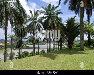 Le jardin botanique de Putrajaya, Malaisie Banque D'Images