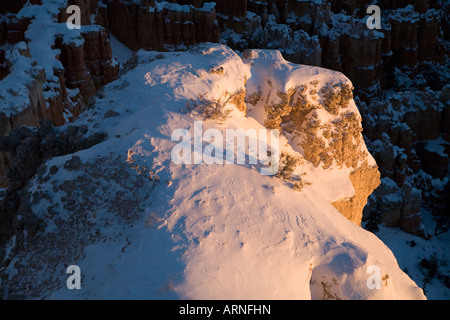 Bryce Canyon Red Rock neige hiver vue sunrise Banque D'Images