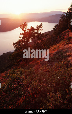 Vue du haut du Mont Maxwell, Salt Spring Island, British Columbia, Canada. Banque D'Images