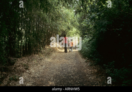 Une mère et un enfant marche à travers une forêt dans l'ouest de Ghat, Pune, Inde Banque D'Images